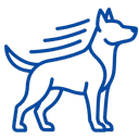 Diagnóstico