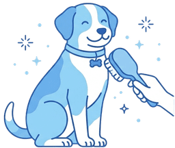 Baño y Estética