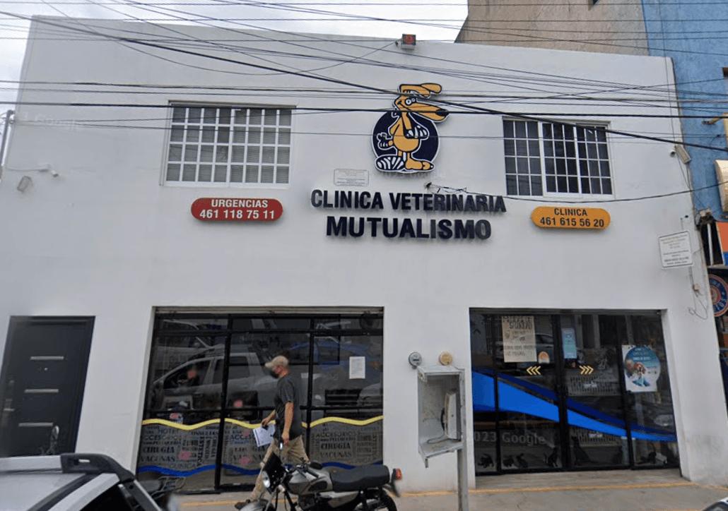 Clínica Veterinaria Mutualismo — después